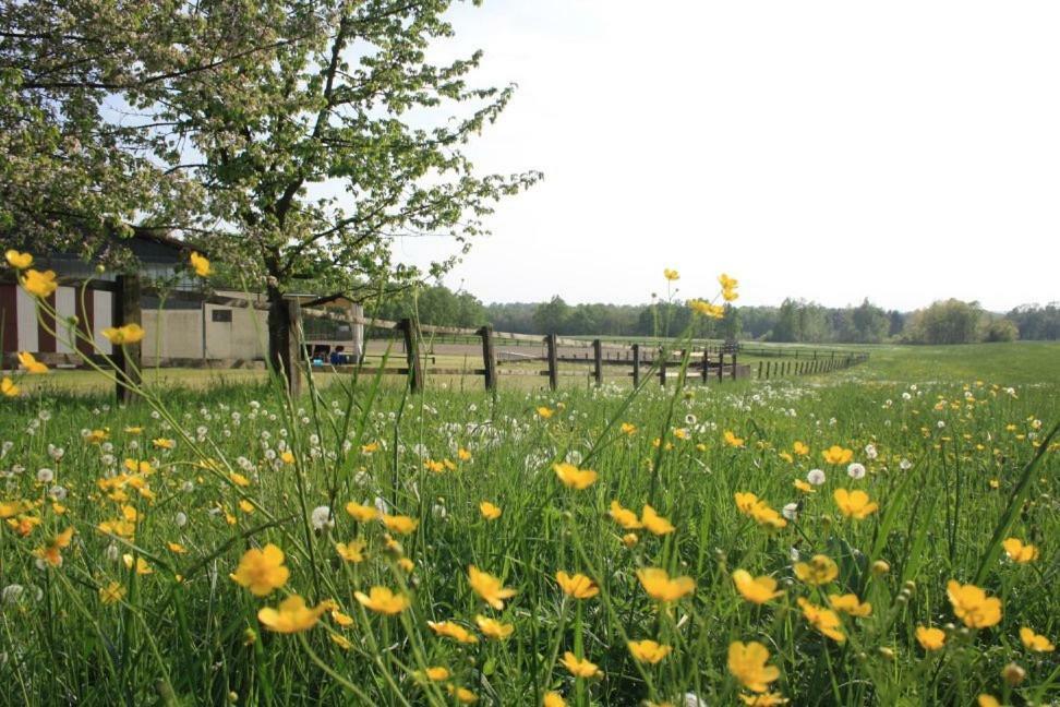 Agriturismo Cargandino *